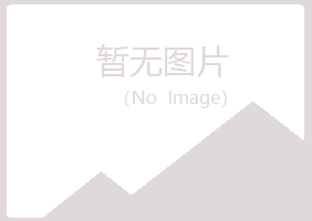 鹤岗东山迷失媒体有限公司